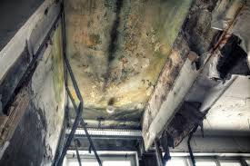 Best Post-Construction Mold Inspection  in USA